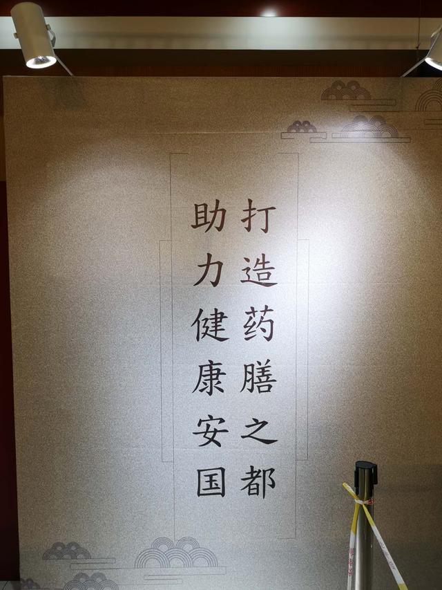 河北百消丹參加全國(guó)第二屆“藥王邳彤杯”藥膳大賽榮獲特金獎(jiǎng)